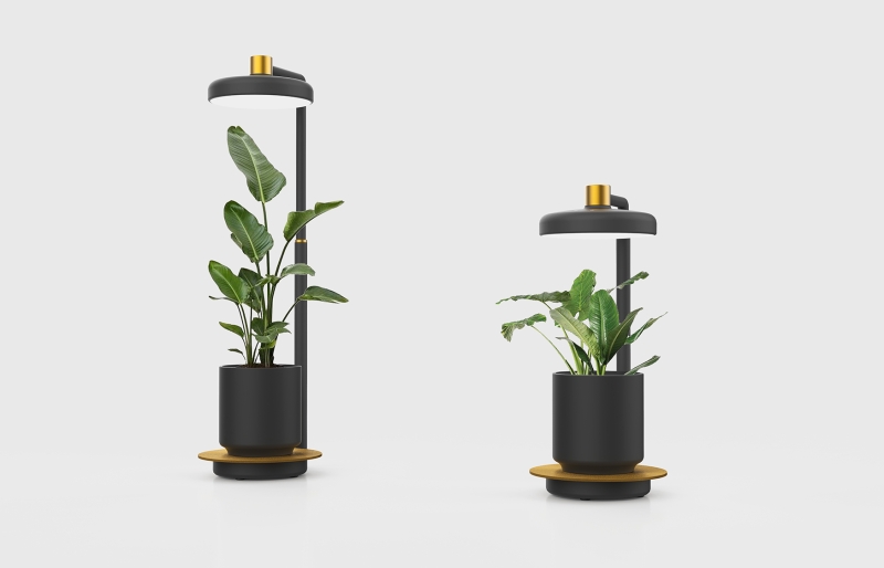 桌面植物灯